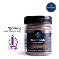 Bumbu Ngohiong Powder / Bubuk Ngohiong / Chinese Five Spice Ngo Hiang