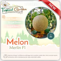 Benih Buah Melon Merlin F1 Tahan Virus