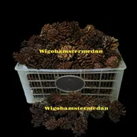 pine cone gigitan hamster / hamster chew toy