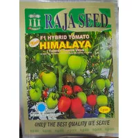 Benih Tomat F1 Himalaya isi 5gr - Raja Seed