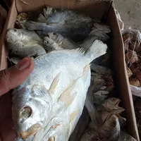 Ikan Asin Samge/Ikan Asin Kepala Batu 1kg