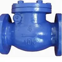 Swing Check Valve 4 inch / DN100 JIS 10K ; Cast Iron