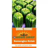 BIBIT SEMANGKA KOTAK / BIBIT BUAH IMPORT