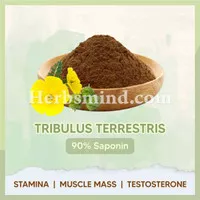 Tribulus Terrestris Extract 90% Saponin Bubuk Ekstrak Pure Supl Fitnes