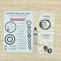 WEIHRAUCH HW100 Major Service Kit / Seal Set HW100