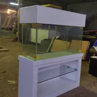 aquarium arwana murah