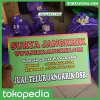 Jangkrik Alam Jual Telur Jangkrik Alam Super