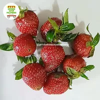 Buah Strawberry 1 pack - Gerobak Sayur Palembang