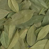 Turky - Bay Leaves 1Kg / Daun Salam 1Kg