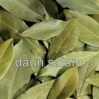 bay leaves daun salam 1kg/daun salam kering