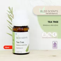TEA TREE Essential Oil 100% Murni Aromaterapi | Humidifier | Diffuser