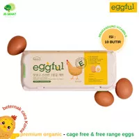 Telur Ayam Organik EGGFUL Premium Free Range Cage Free Vitamin E KOREA