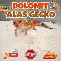 500 GR Dolomit gecko alas kandang tokek rumah gecko geko kadal reptil