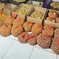 Bibit/Benih Kentang G0 Ukuran S-L Jaring isi 1.000