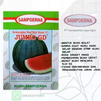 Benih Semangka Non Biji JUMBO GD