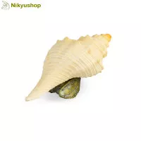 Mainan Edukasi Pajangan Figurine Hewan Siput Laut Sea Snail Conch