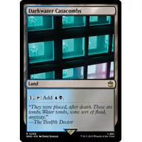 Magic the Gathering MTG - Darkwater Catacombs (WHO)