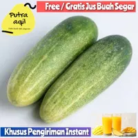 Sayur Timun Mentimun Ketimun Lokal Segar Murah Hemat Terjangkau 500gr