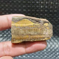 tiger eye natural rough