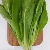 Romaine Organik/Roman/Selada Romaine 250gr