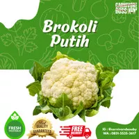 BROKOLI PUTIH 1 KG / FRESH / SURABAYA