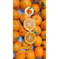 buah jeruk ponkam taiwan ponkan honey mandarin hampers imlek gift pack