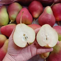 Pear forelle | buah pear forelle | pear fresh - 1kg