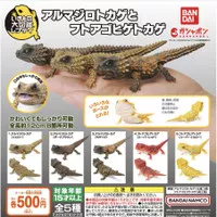 Gashapon armadillo bearded lizard BANDAI ikimono gacha kadal