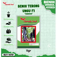 Benih Terong Ungu F1 -Tangguh- Garuda Seed 5 Gram