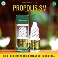 Obat Penghilang Daging Di Lubang Gigi, Obat Penghancur Polip Gigi, Daging Jadi, Gusi Tumbuh di Lubang Gigi, Obat Polip Gusi / Polip Gigi, Obat Abses Gusi, Obat Gusi Bengkak, Obat Polip Pulpa - Propolis SM