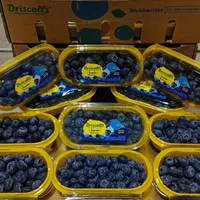 Blueberry | blueberry impor | blueberry manis | bluebery - 1 pack