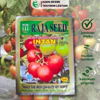 Benih Unggul Tomat INTAN 5 gram Cap RAJA SEED Lebat & Unggul