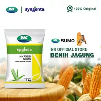 Benih Jagung NK 7328 | NK SUMO - 1Kg