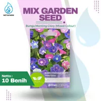 Benih Biji Bibit Bunga Morning Glory Mixed Colour Mix Garden Seed - 10 Seeds