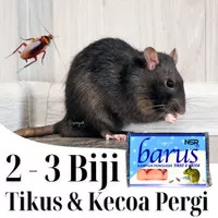 Kapur Barus Pengusir Tikus Kamper Pembasmi Tikus Dan Kecoa Obat Pengusir Tikus Gede Anti Semut Yang Ampuh di Rumah