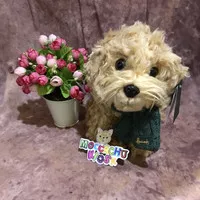 Boneka anjing Cockapoo Harrods Bert the Cockerpoo