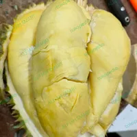 Buah Durian Montong Asli