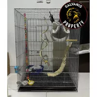 sangkar burung kenari / sangkar kerambah umbaran burung bahan galvanis