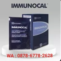 Susu Immunocal, Isolat Protein, Immunocal Ori 1 Box isi 10 sachet