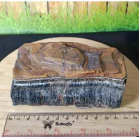  Natural Blue Tiger Eye Rough (8)