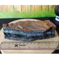  Natural Blue Tiger Eye Rough (11)