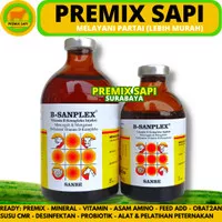 B SANPLEX 100 ML & B SANPLEX 50 ML SANBE Vitamin B kompleks Hewan