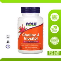 Vitamin Suplemen Choline and Inositol Now 100 Vcaps