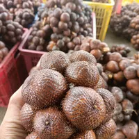 Salak | salak gula pasir | salak madu bali