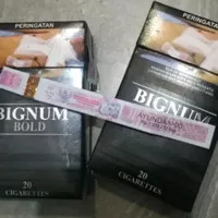 bignum bold 20