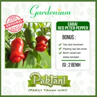 2 Benih Cabai Red Peter Pepper Tanaman Cabe Hias Ornamental Paktani