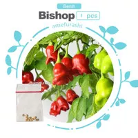 Benih / Bibit / Seed Cabe Bishop Crown Pepper Cabe Unik Bentuk Mahkota