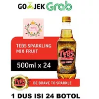 Tebs Botol 500ml / Tebs Tea With Soda Pet 500ml 1 Dus 24Pcs