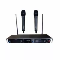 Mic Wireless Wisdom Q2