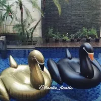 Gold Swan atau Black Swan Giant Floatie Pelampung Ban renang